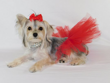 Red Tulle Tutu for Dogs