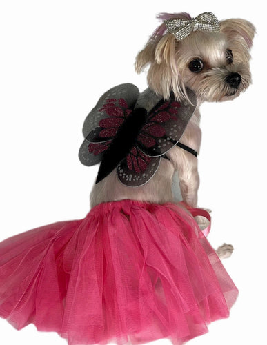 Pawpatu Hot Pink Butterfly Pet Costume, 2-Piece Set