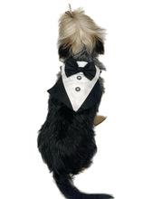 Pawpatu Black and White Tuxedo Bib for Pets