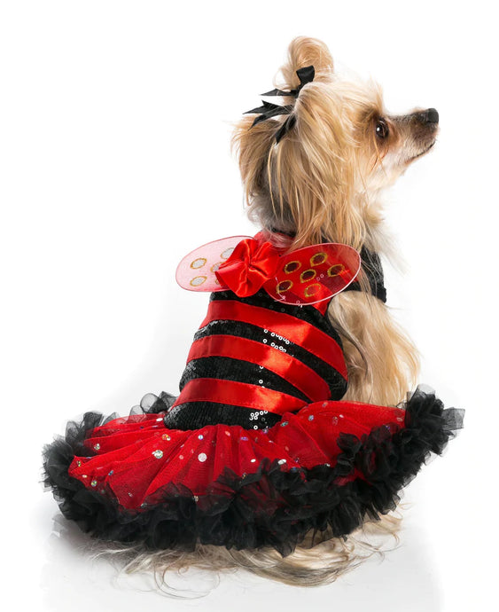 Pawpatu Red Lady Bug Costume Petti Dress for Pets