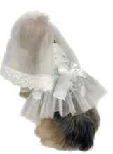 Pawpatu White Bridal Wedding Costume Dress for Pets